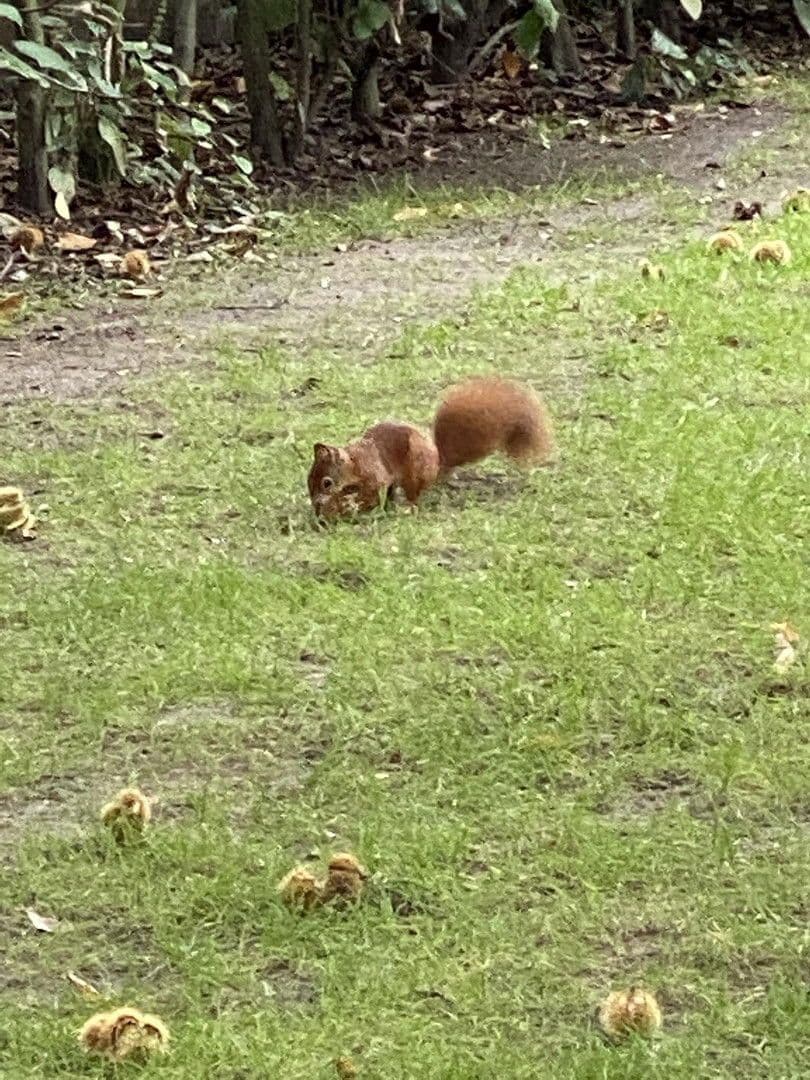 Prodej domu 280 m², pozemek 1.223 m², Dortmund, Severní Porýní-Vestfálsko Prodej domu 280 m², pozemek 1.223 m², Dortmund, Severní Porýní-Vestfálsko