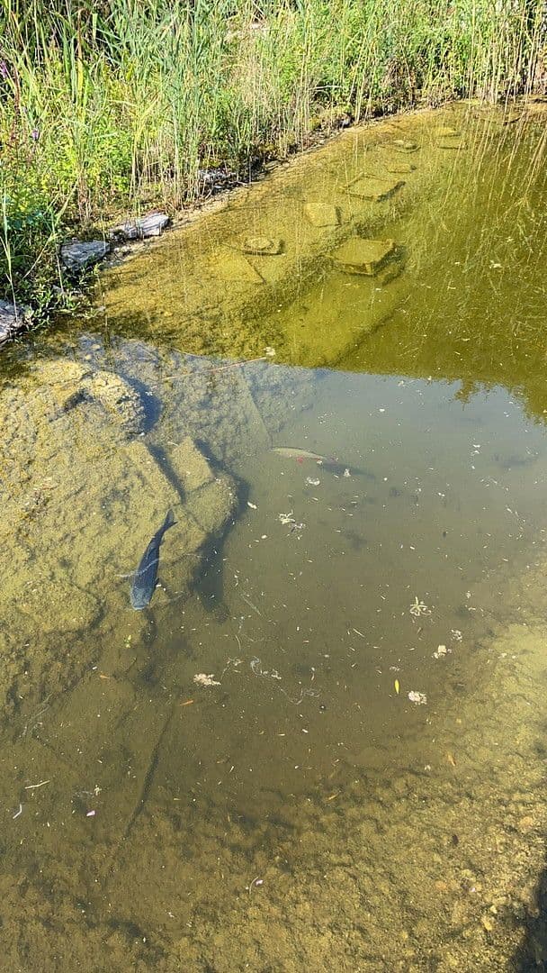 Prodej domu 280 m², pozemek 1.223 m², Dortmund, Severní Porýní-Vestfálsko Prodej domu 280 m², pozemek 1.223 m², Dortmund, Severní Porýní-Vestfálsko