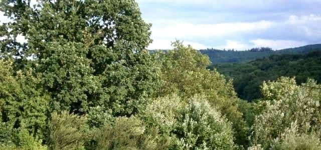 Pronájem bytu 3+1 60 m², Schwäbisch Gmünd, Bádensko-Württembersko Pronájem bytu 3+1 60 m², Schwäbisch Gmünd, Bádensko-Württembersko