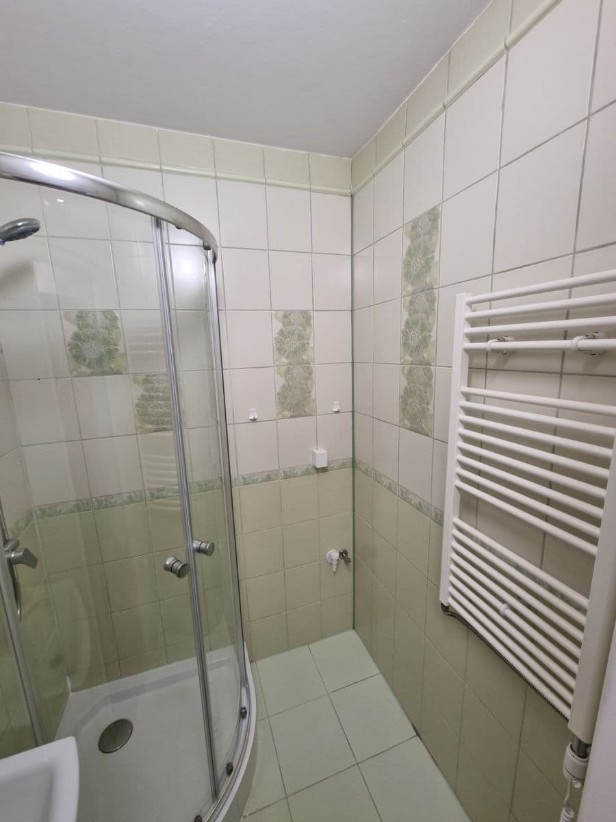 Pronájem bytu 1+1 40 m², Bukovany, Karlovarský kraj Pronájem bytu 1+1 40 m², Bukovany, Karlovarský kraj