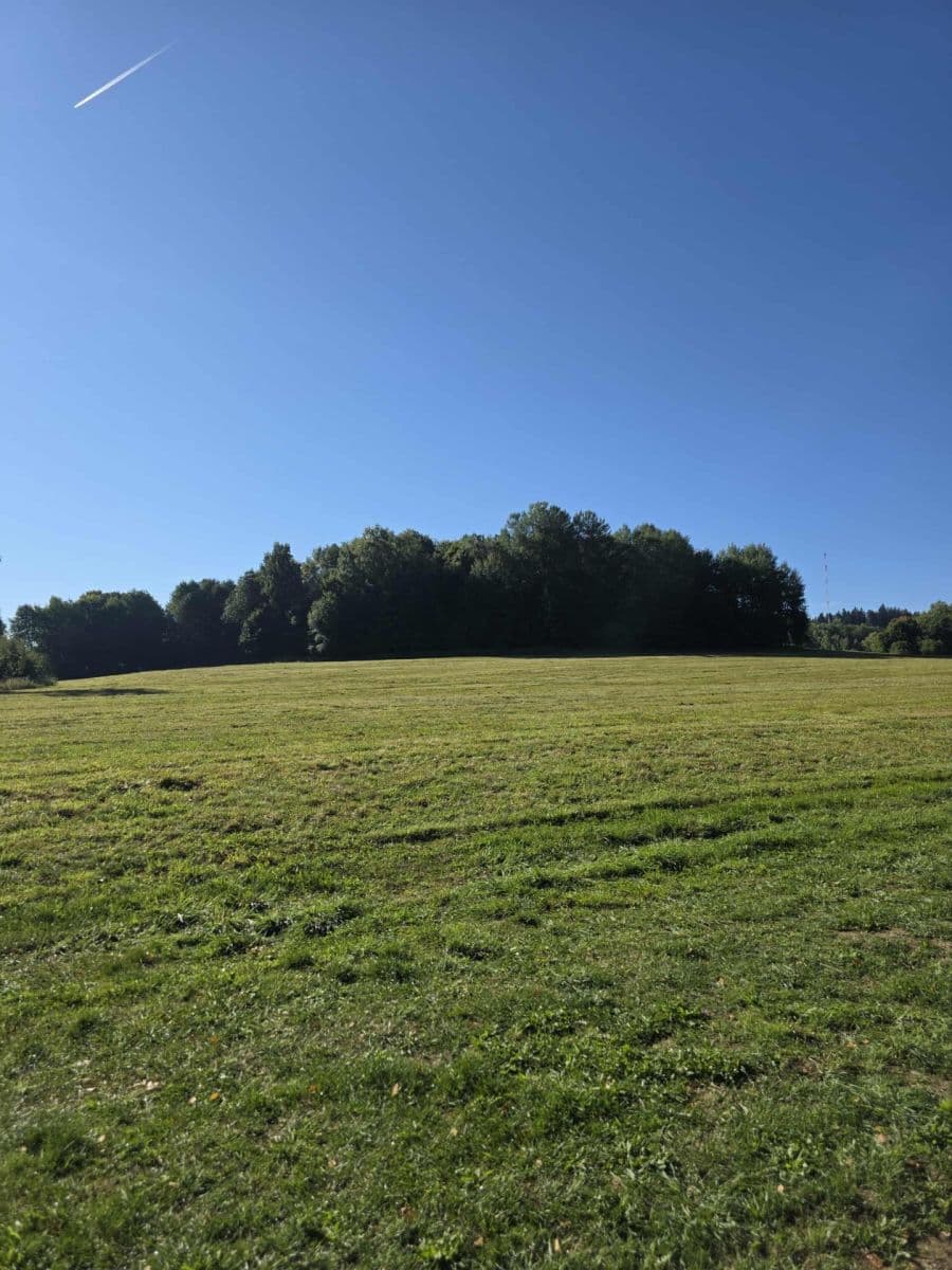 Prodej pozemku 4.441 m², Černá v Pošumaví, Jihočeský kraj Prodej pozemku 4.441 m², Černá v Pošumaví, Jihočeský kraj