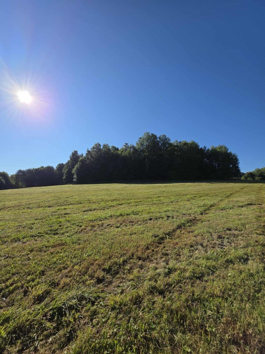 Prodej pozemku 4.441 m², Černá v Pošumaví, Jihočeský kraj Prodej pozemku 4.441 m², Černá v Pošumaví, Jihočeský kraj