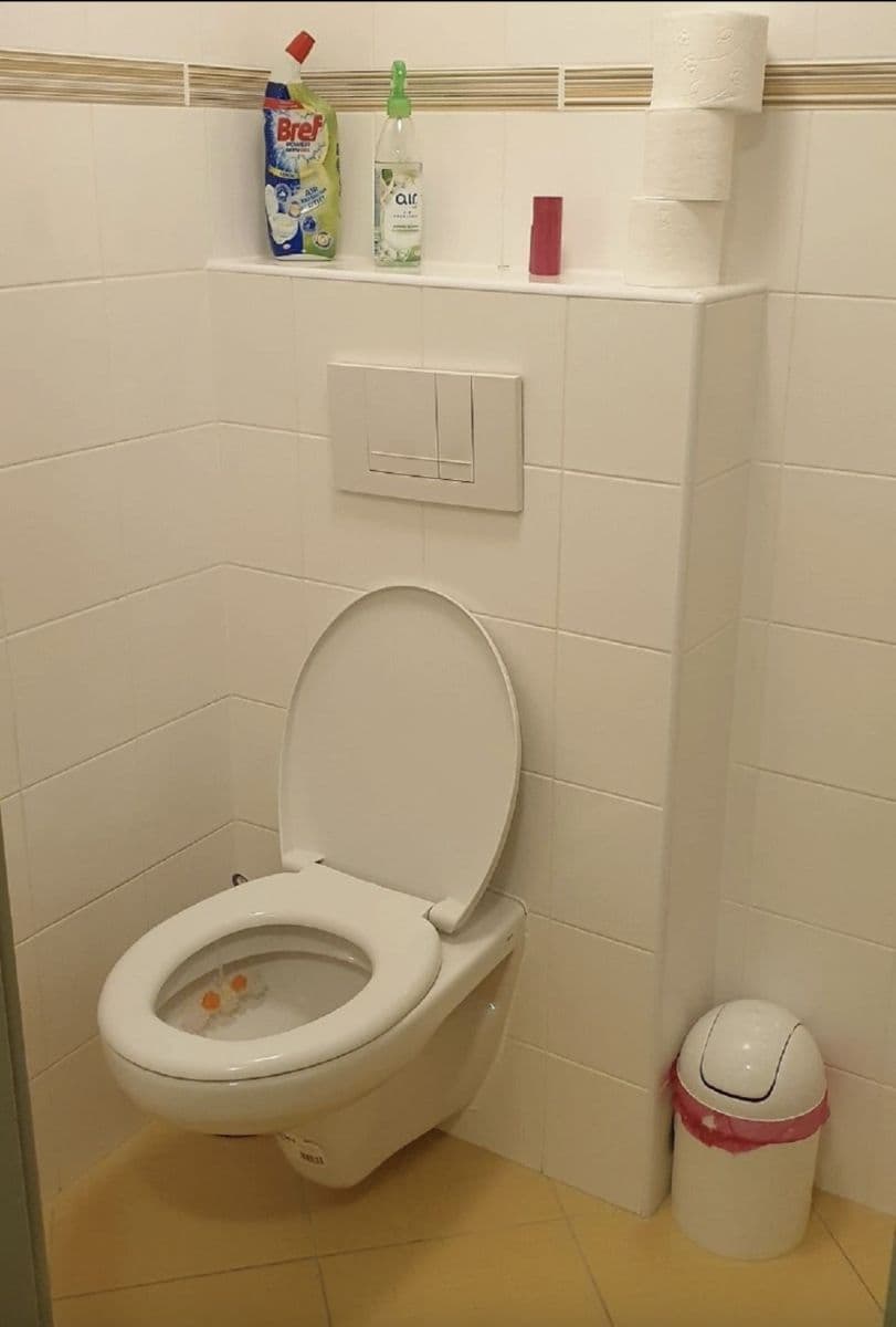Pronájem bytu 130 m², Benátky, Benátky, Pardubický kraj Pronájem bytu 130 m², Benátky, Benátky, Pardubický kraj