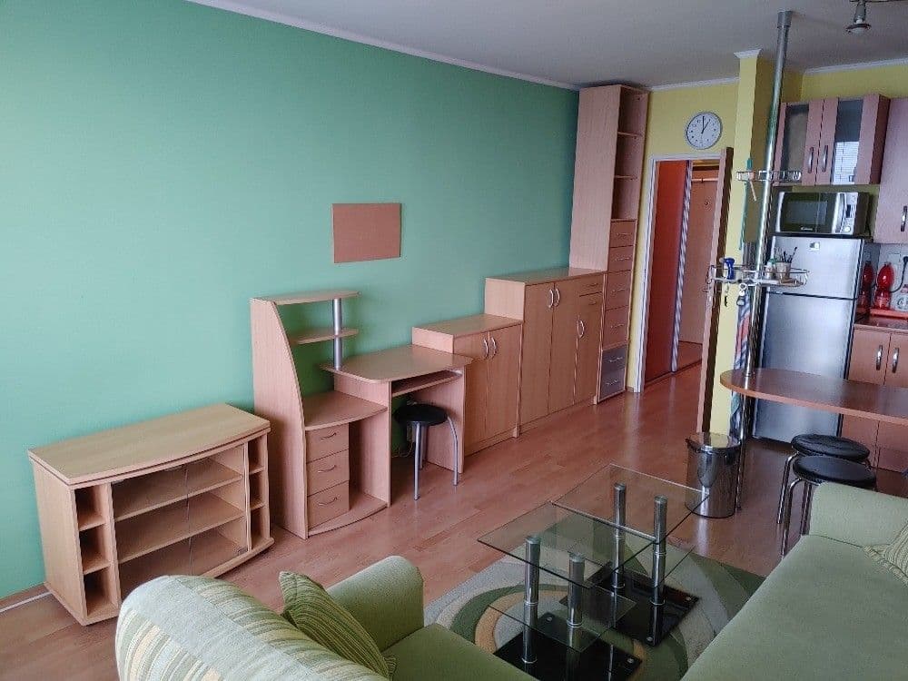 Pronájem bytu Garsoniéra 28 m², Černého, Praha, Praha Pronájem bytu Garsoniéra 28 m², Černého, Praha, Praha