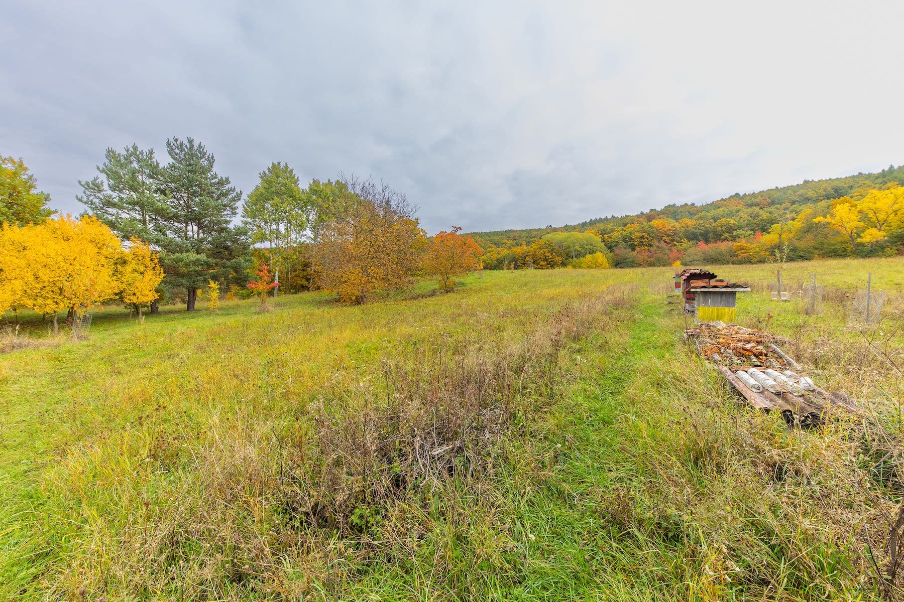 Prodej pozemku 5.229 m², Lažany, Jihomoravský kraj Prodej pozemku 5.229 m², Lažany, Jihomoravský kraj
