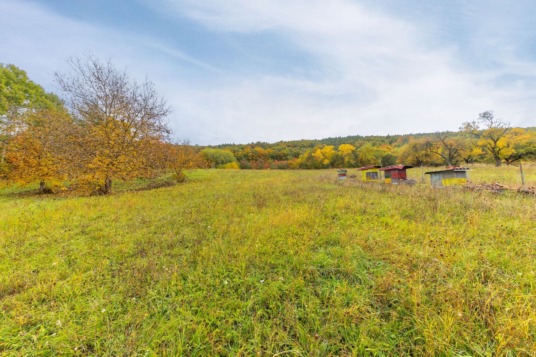 Prodej pozemku 5.229 m², Lažany, Jihomoravský kraj Prodej pozemku 5.229 m², Lažany, Jihomoravský kraj