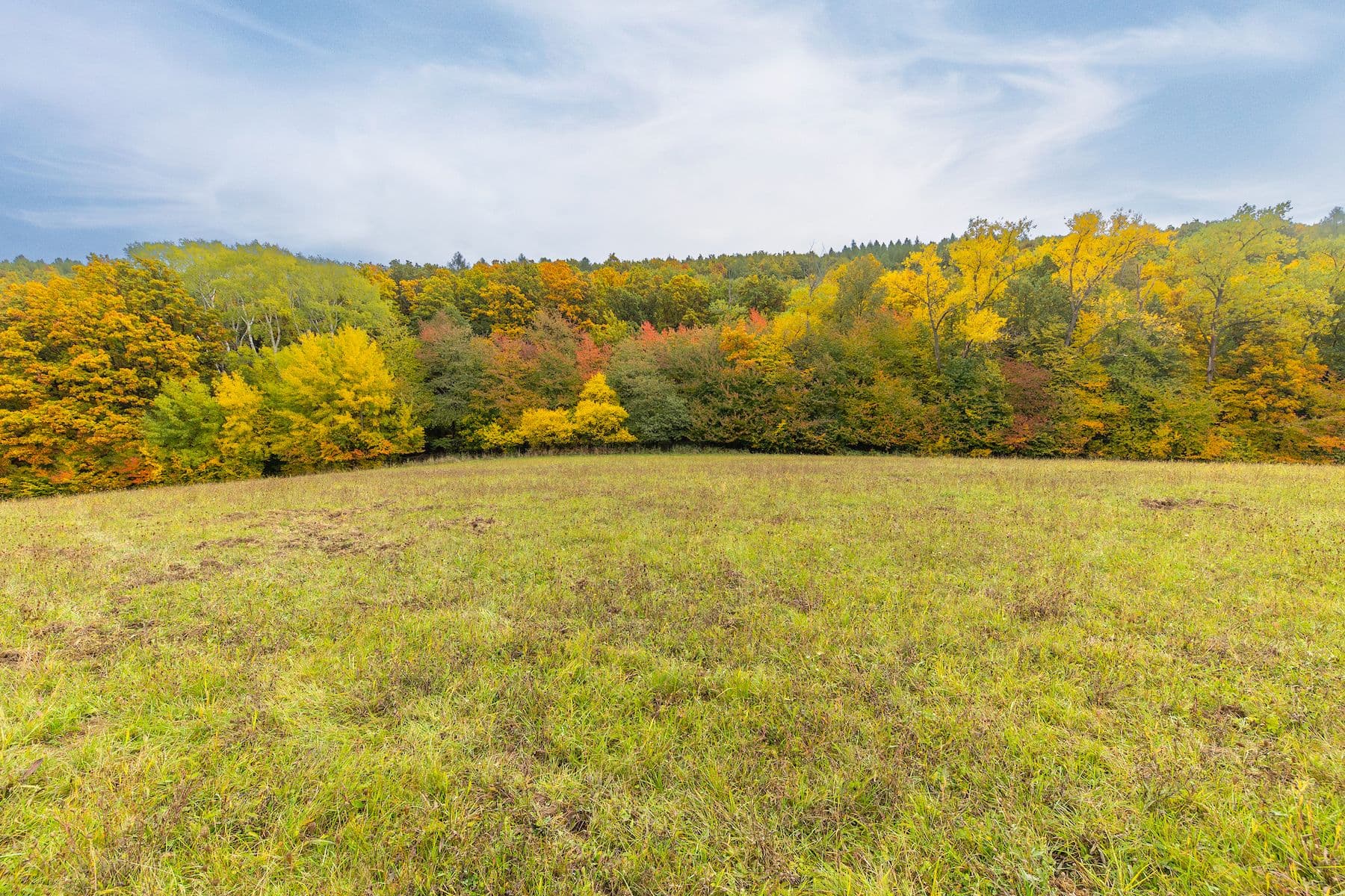 Prodej pozemku 5.229 m², Lažany, Jihomoravský kraj Prodej pozemku 5.229 m², Lažany, Jihomoravský kraj