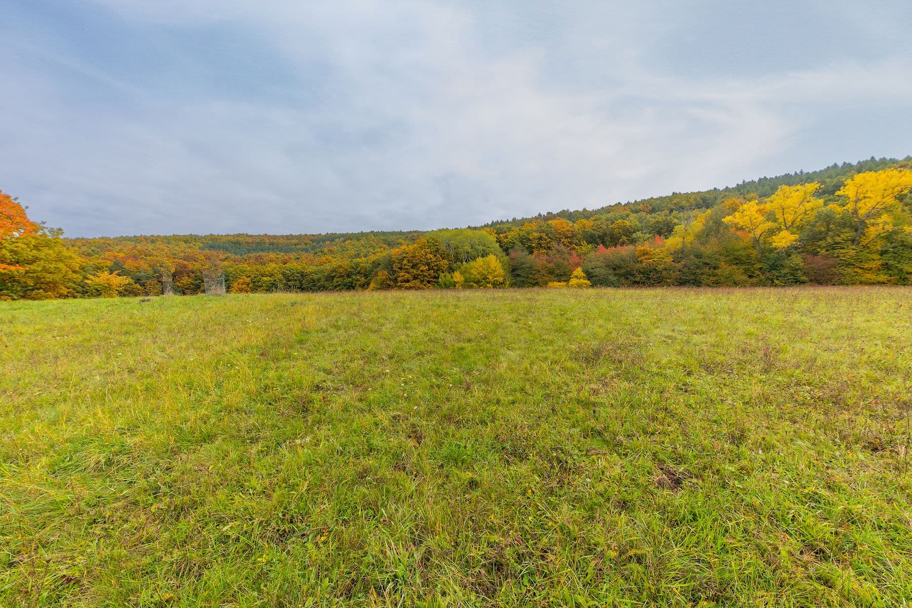 Prodej pozemku 5.229 m², Lažany, Jihomoravský kraj Prodej pozemku 5.229 m², Lažany, Jihomoravský kraj