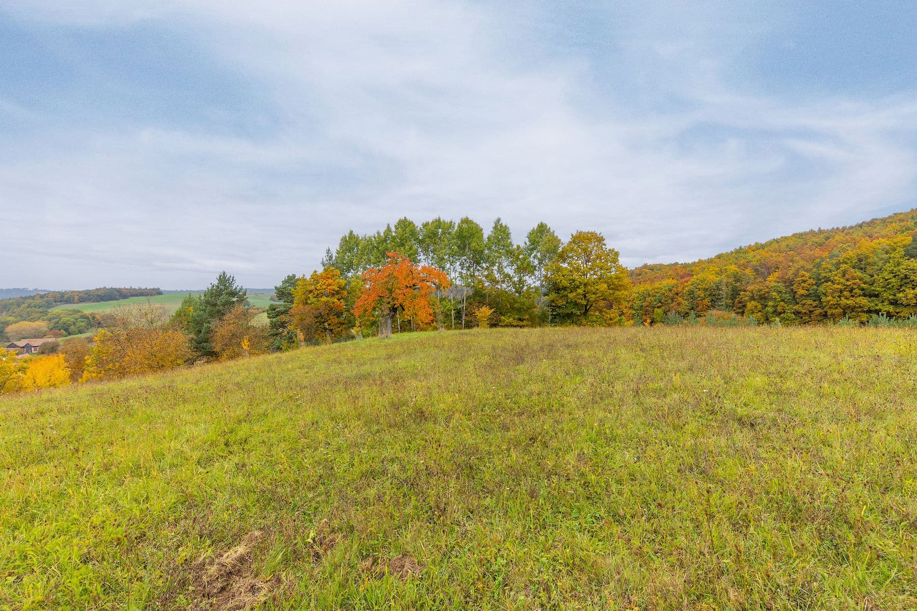 Prodej pozemku 5.229 m², Lažany, Jihomoravský kraj Prodej pozemku 5.229 m², Lažany, Jihomoravský kraj