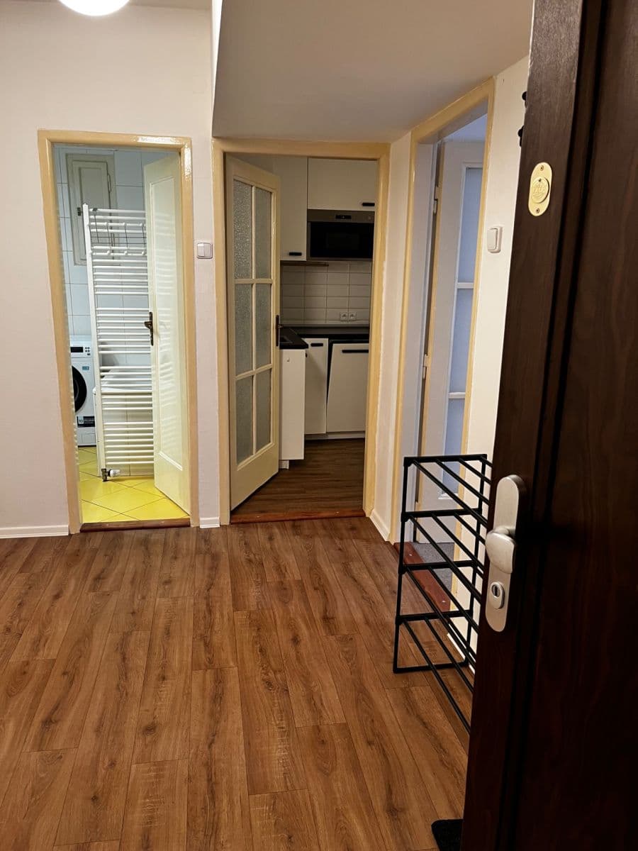 Pronájem bytu 1+1 44 m², Puškinovo náměstí, Praha, Praha Pronájem bytu 1+1 44 m², Puškinovo náměstí, Praha, Praha