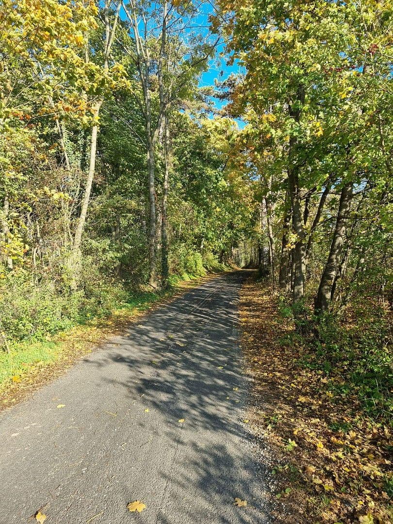 Prodej domu 136 m², pozemek 283 m², Wöllersdorf, Dolní Rakousko Prodej domu 136 m², pozemek 283 m², Wöllersdorf, Dolní Rakousko