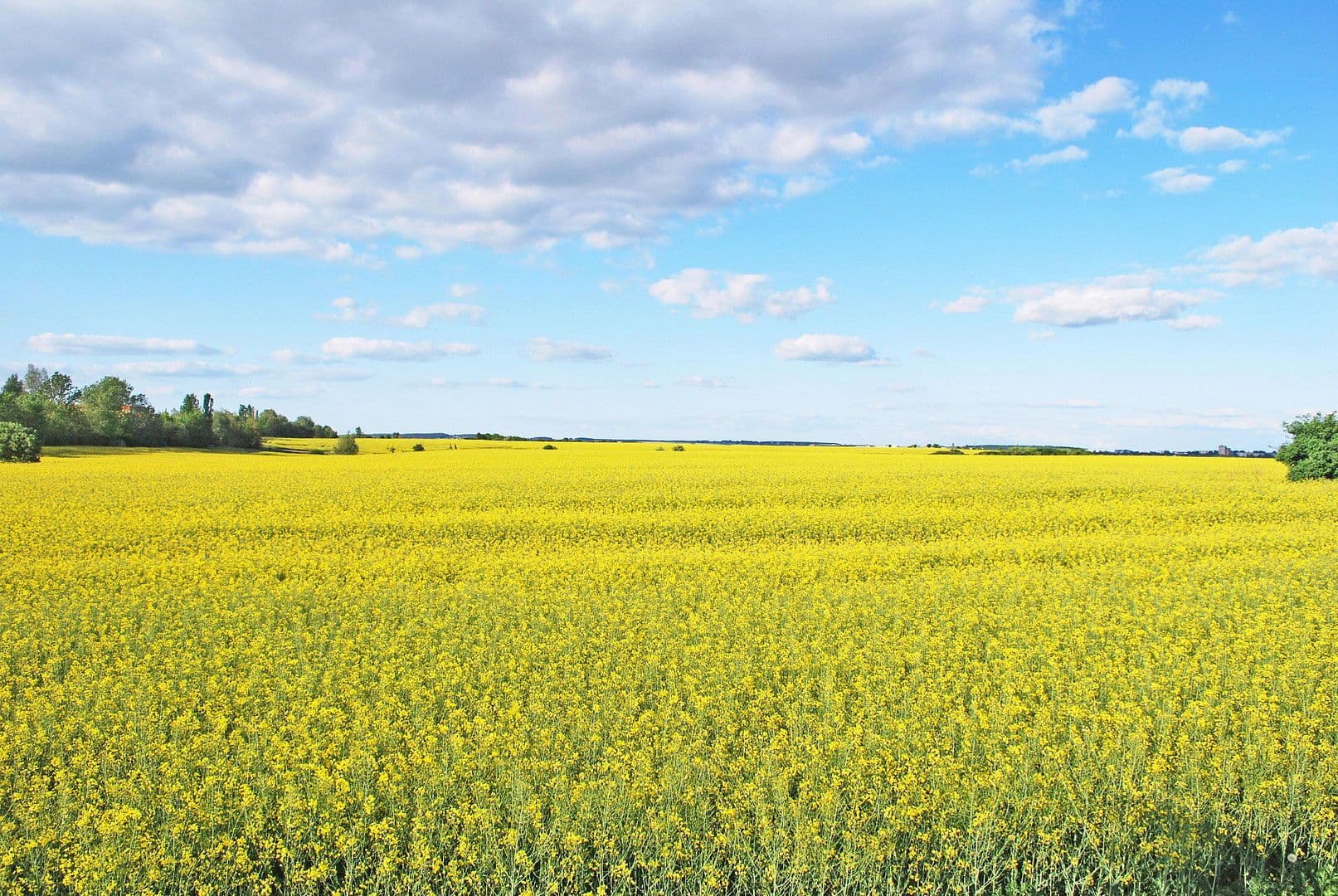 Prodej domu 91 m², pozemek 1.000 m², Zur Lenzer Höh 6, Haus 13, Fünfseen, Mecklenburg-Vorpommern Prodej domu 91 m², pozemek 1.000 m², Zur Lenzer Höh 6, Haus 13, Fünfseen, Mecklenburg-Vorpommern