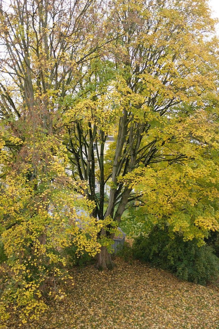 Prodej bytu 3+1 71 m², Herkulesstraße, Kassel, Hessen Prodej bytu 3+1 71 m², Herkulesstraße, Kassel, Hessen