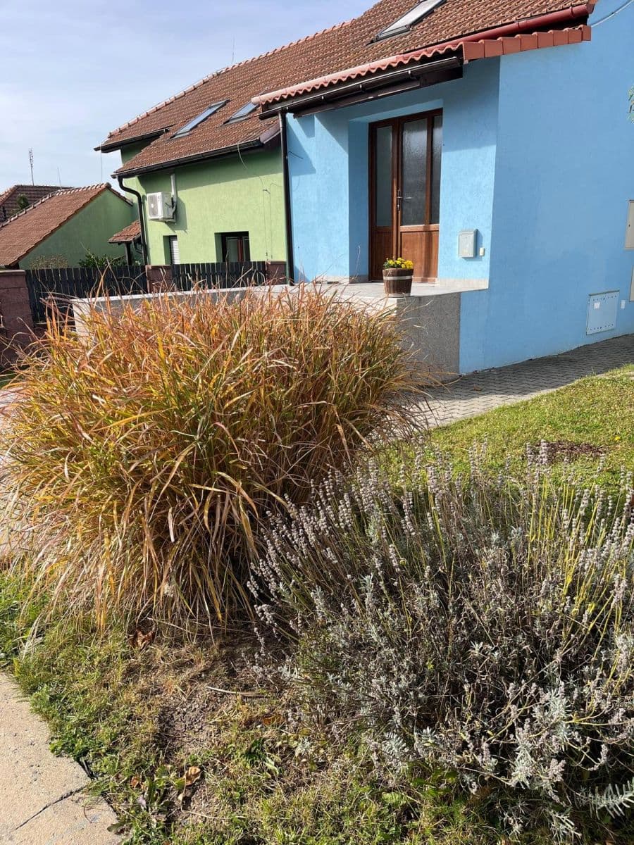 Pronájem bytu 70 m², Újezd II., Kobeřice u Brna, Jihomoravský kraj Pronájem bytu 70 m², Újezd II., Kobeřice u Brna, Jihomoravský kraj