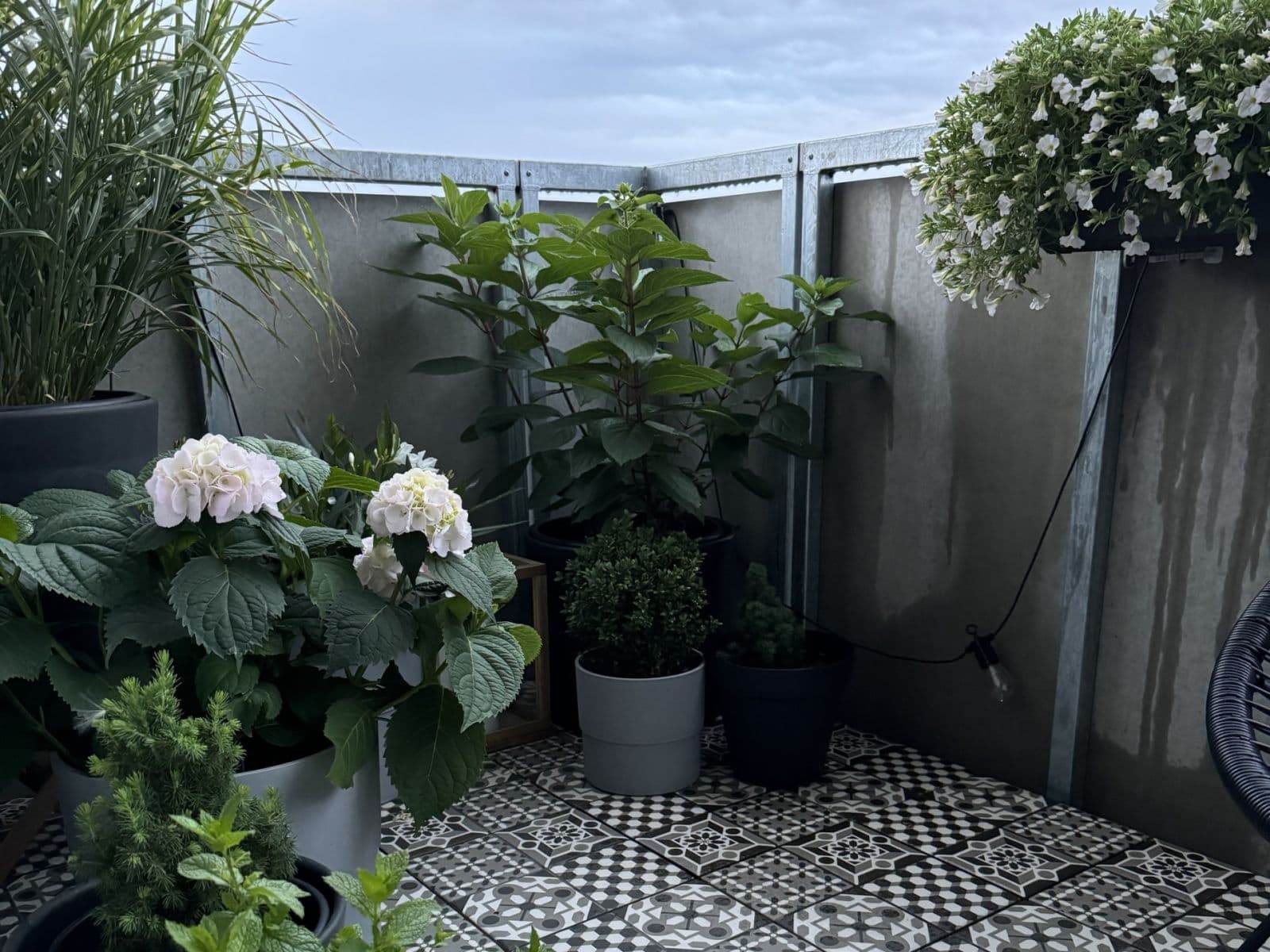 Prodej bytu 2+kk 53 m², Žižkova, Horoměřice, Středočeský kraj Prodej bytu 2+kk 53 m², Žižkova, Horoměřice, Středočeský kraj