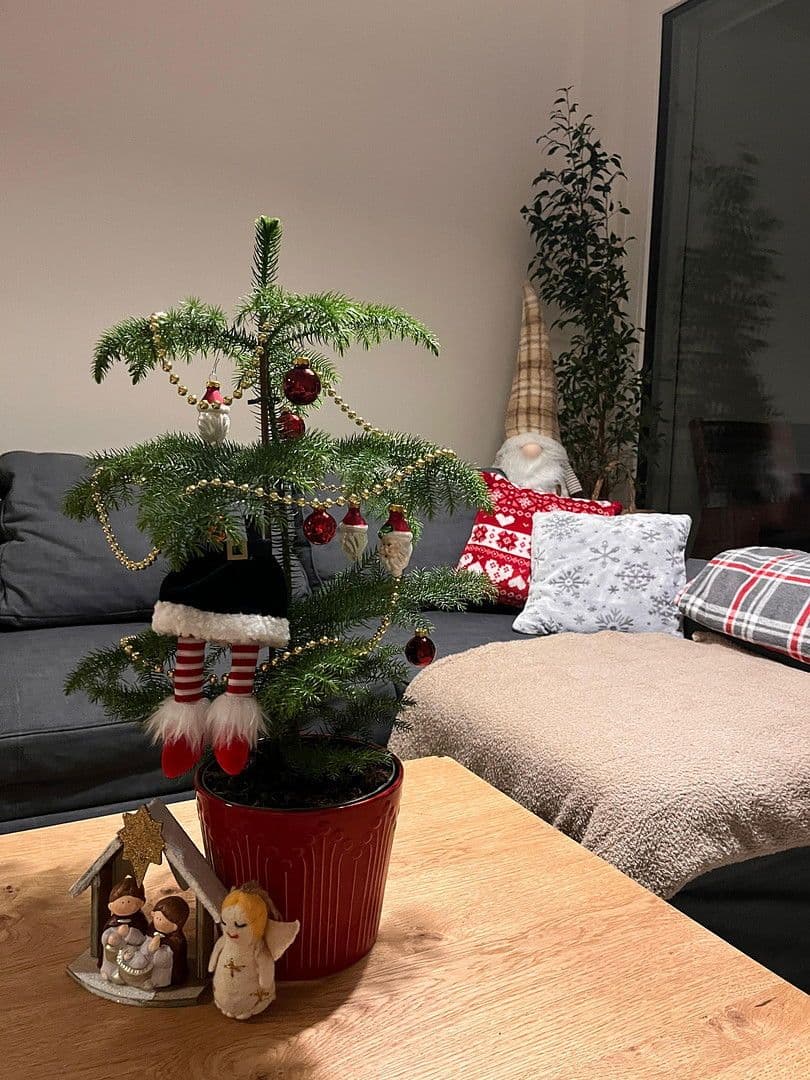 Pronájem bytu 2+1 52 m², Ilse-Buck-Straße 22, Wien, Wien Pronájem bytu 2+1 52 m², Ilse-Buck-Straße 22, Wien, Wien