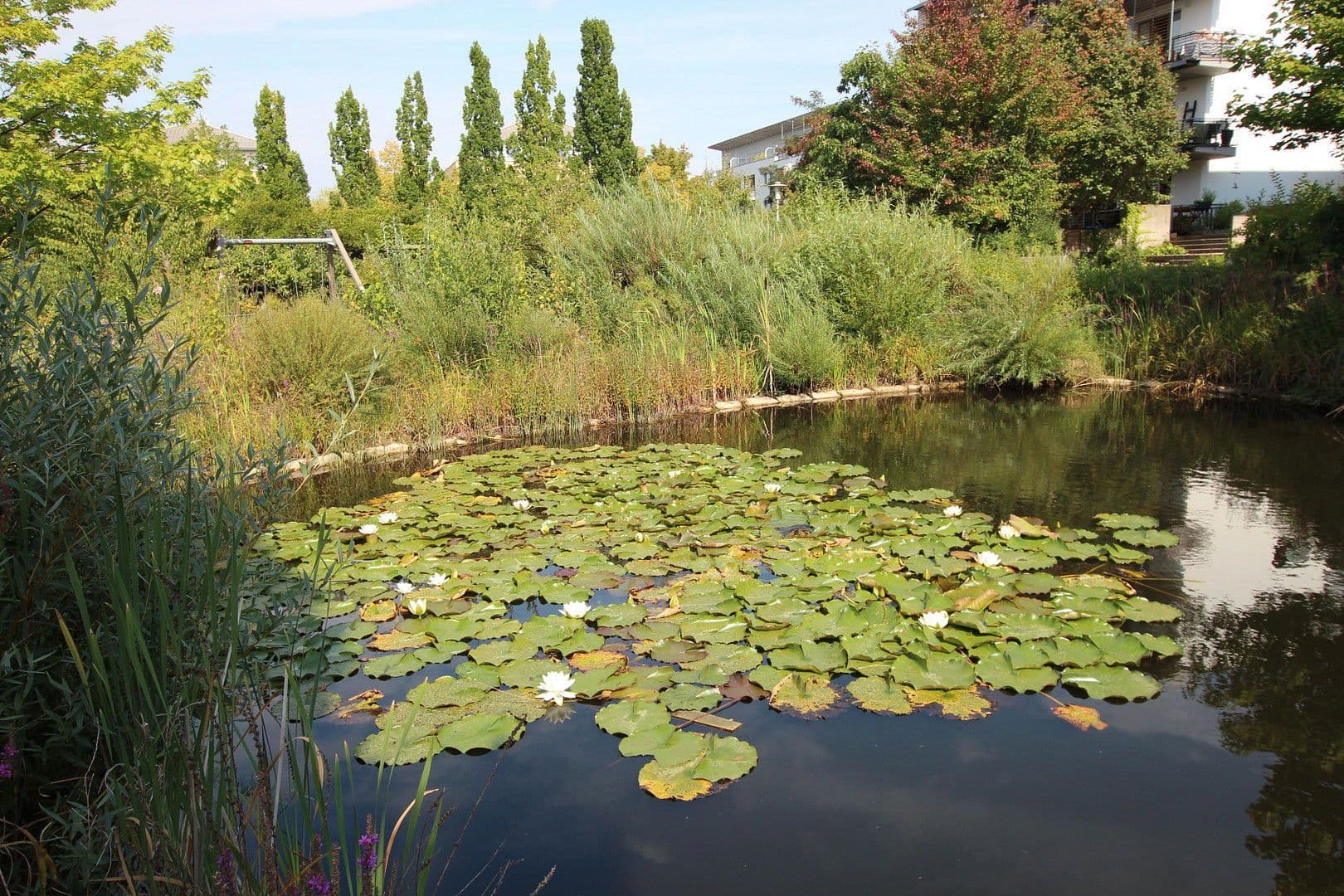 Pronájem bytu 3+1 73 m², Hannover, Dolní Sasko Pronájem bytu 3+1 73 m², Hannover, Dolní Sasko