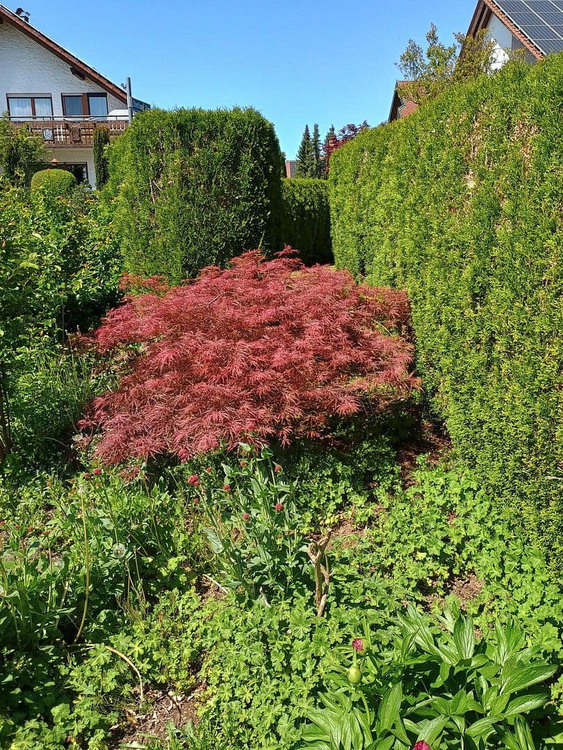 Prodej domu 255 m², pozemek 894 m², Hüttlingen, Bádensko-Württembersko Prodej domu 255 m², pozemek 894 m², Hüttlingen, Bádensko-Württembersko