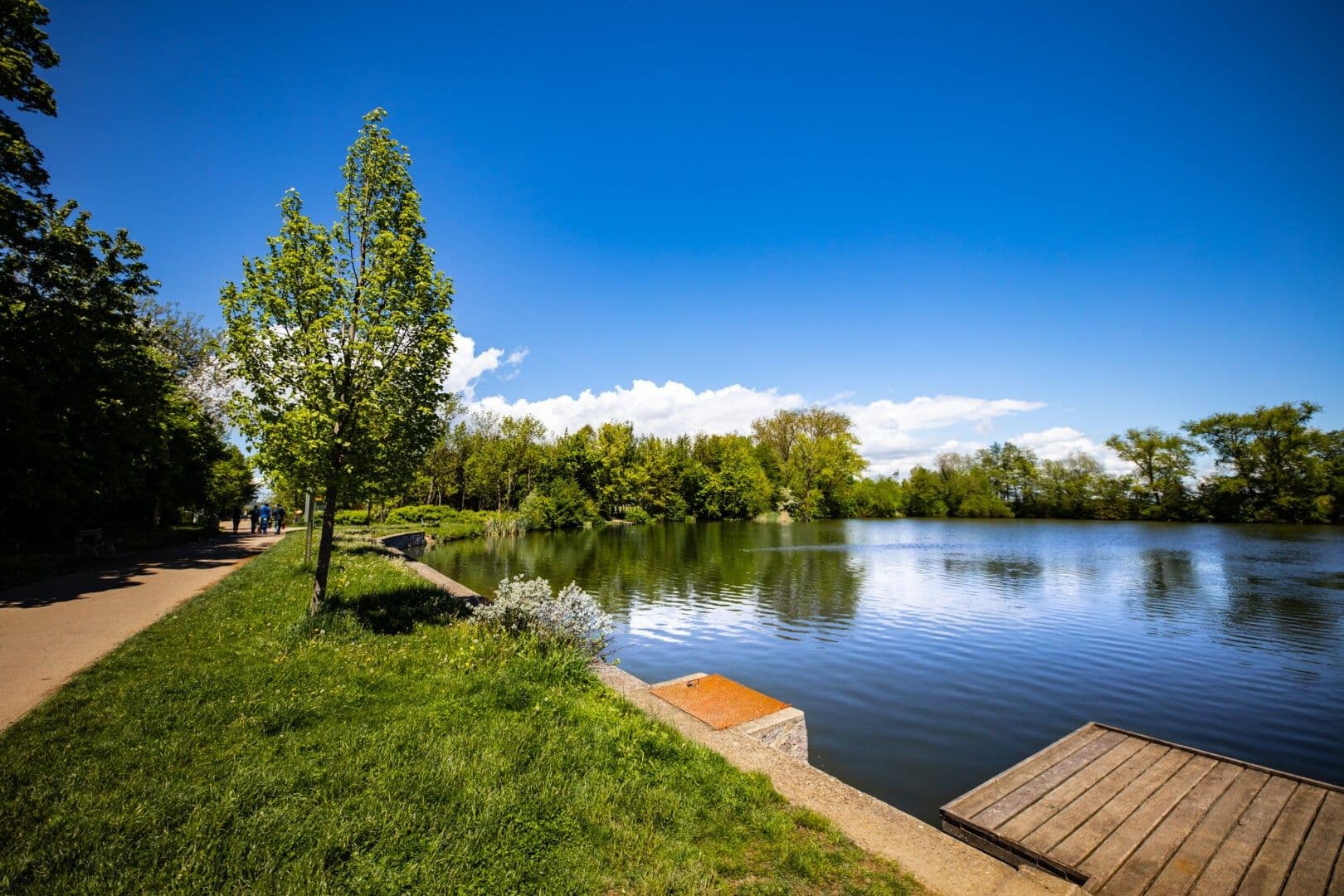 Pronájem bytu 3+kk 66 m², Okružní, Vestec, Středočeský kraj Pronájem bytu 3+kk 66 m², Okružní, Vestec, Středočeský kraj