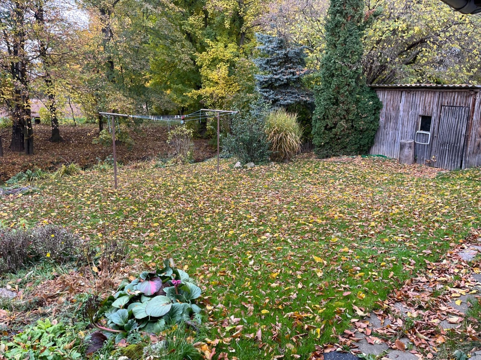 Pronájem domu 75 m², pozemek 400 m², Moravičany, Olomoucký kraj Pronájem domu 75 m², pozemek 400 m², Moravičany, Olomoucký kraj