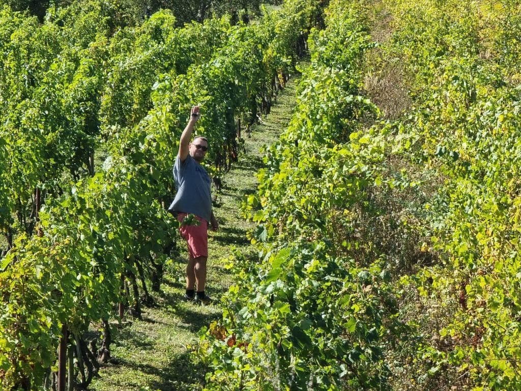 Prodej chaty, chalupy 2.500 m², pozemek 2.500 m², Nána, Nitriansky kraj Prodej chaty, chalupy 2.500 m², pozemek 2.500 m², Nána, Nitriansky kraj