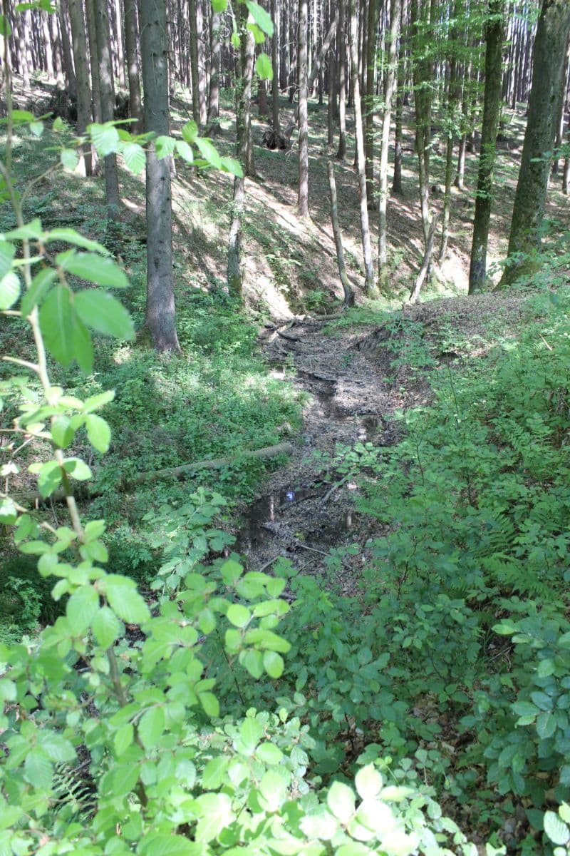 Prodej pozemku 32.570 m², Bojkovice, Zlínský kraj Prodej pozemku 32.570 m², Bojkovice, Zlínský kraj