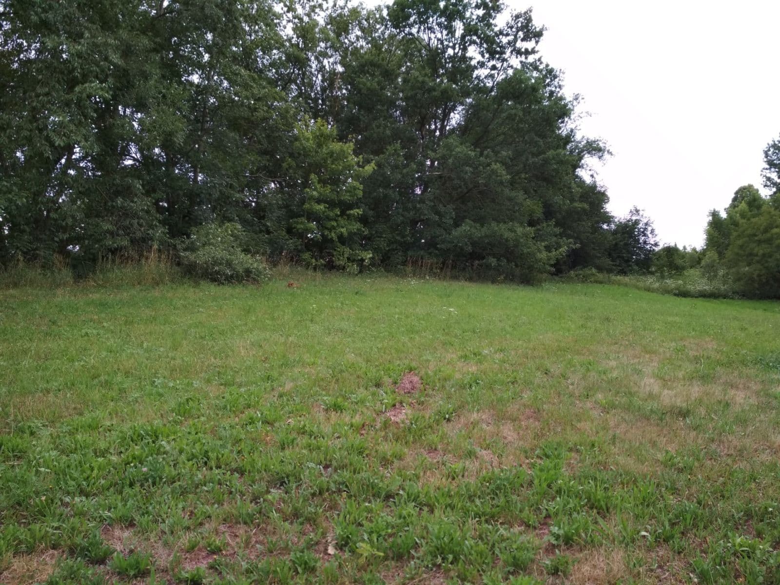 Prodej pozemku 4.183 m², Benešov u Semil, Liberecký kraj Prodej pozemku 4.183 m², Benešov u Semil, Liberecký kraj