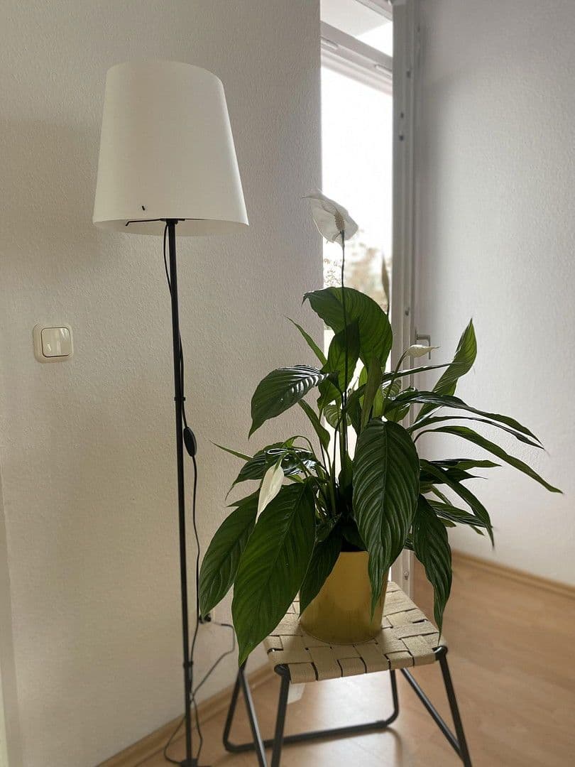 Pronájem bytu 1+1 37 m², Berlepschstraße, Berlin, Berlín Pronájem bytu 1+1 37 m², Berlepschstraße, Berlin, Berlín