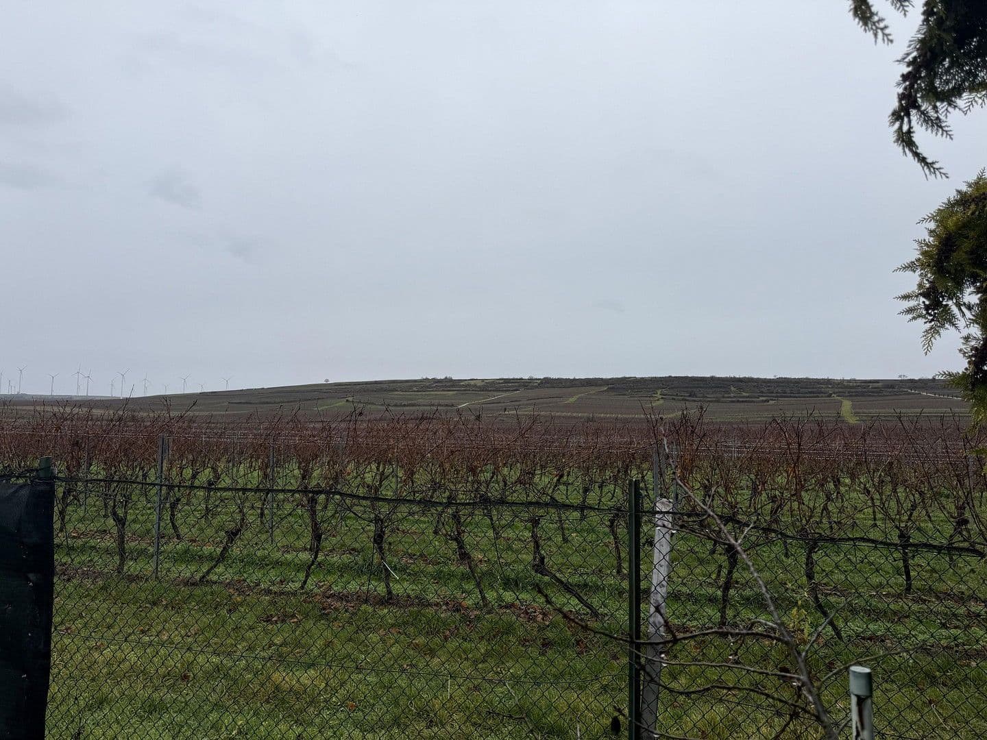 Pronájem bytu 3+1 90 m², Alzeyerstraße 108, Flörsheim-Dalsheim, Porýní-Falc Pronájem bytu 3+1 90 m², Alzeyerstraße 108, Flörsheim-Dalsheim, Porýní-Falc