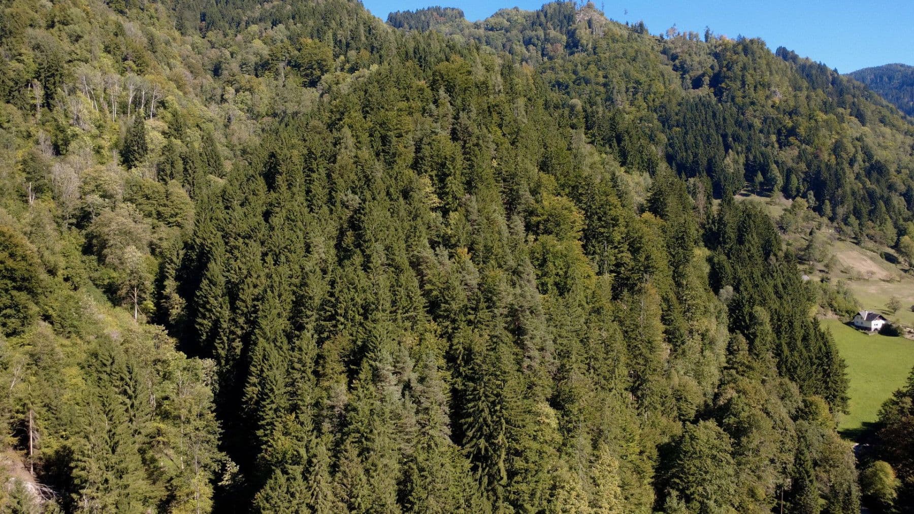 Prodej domu 120 m², pozemek 168.800 m², Prössinggraben 14, St. Gertraud, Korutany Prodej domu 120 m², pozemek 168.800 m², Prössinggraben 14, St. Gertraud, Korutany