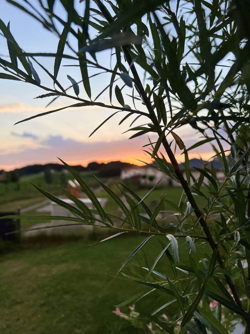 Prodej domu 152 m², pozemek 874 m², Fürstenstein, Bavorsko Prodej domu 152 m², pozemek 874 m², Fürstenstein, Bavorsko