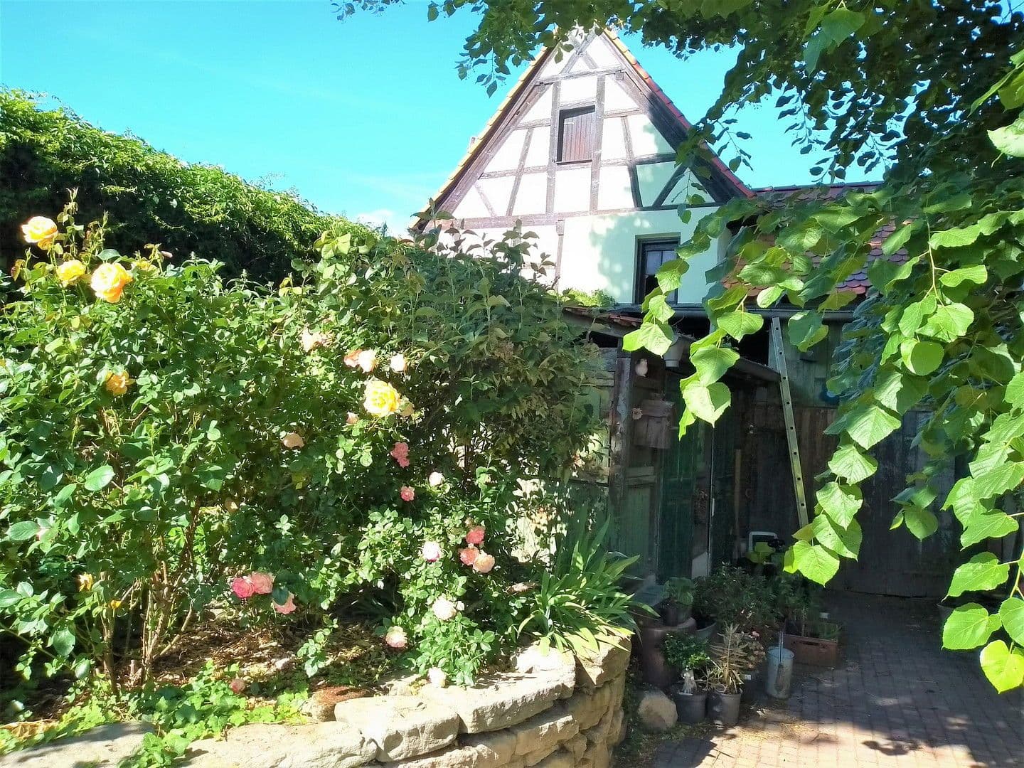 Prodej domu 513 m², pozemek 1.557 m², Elsteraue, Sasko-Anhaltsko Prodej domu 513 m², pozemek 1.557 m², Elsteraue, Sasko-Anhaltsko