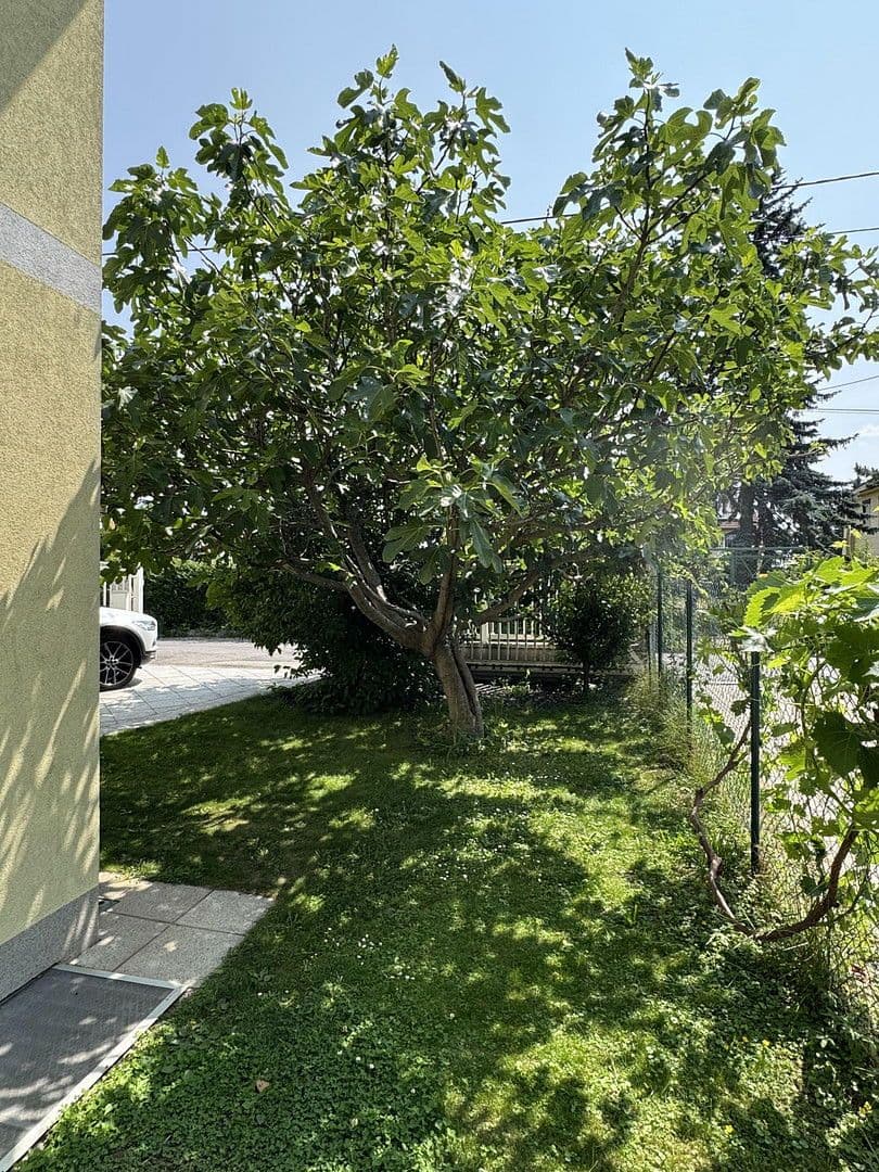 Prodej domu 231 m², pozemek 491 m², Fallmerayerweg 79, Wien, Wien Prodej domu 231 m², pozemek 491 m², Fallmerayerweg 79, Wien, Wien