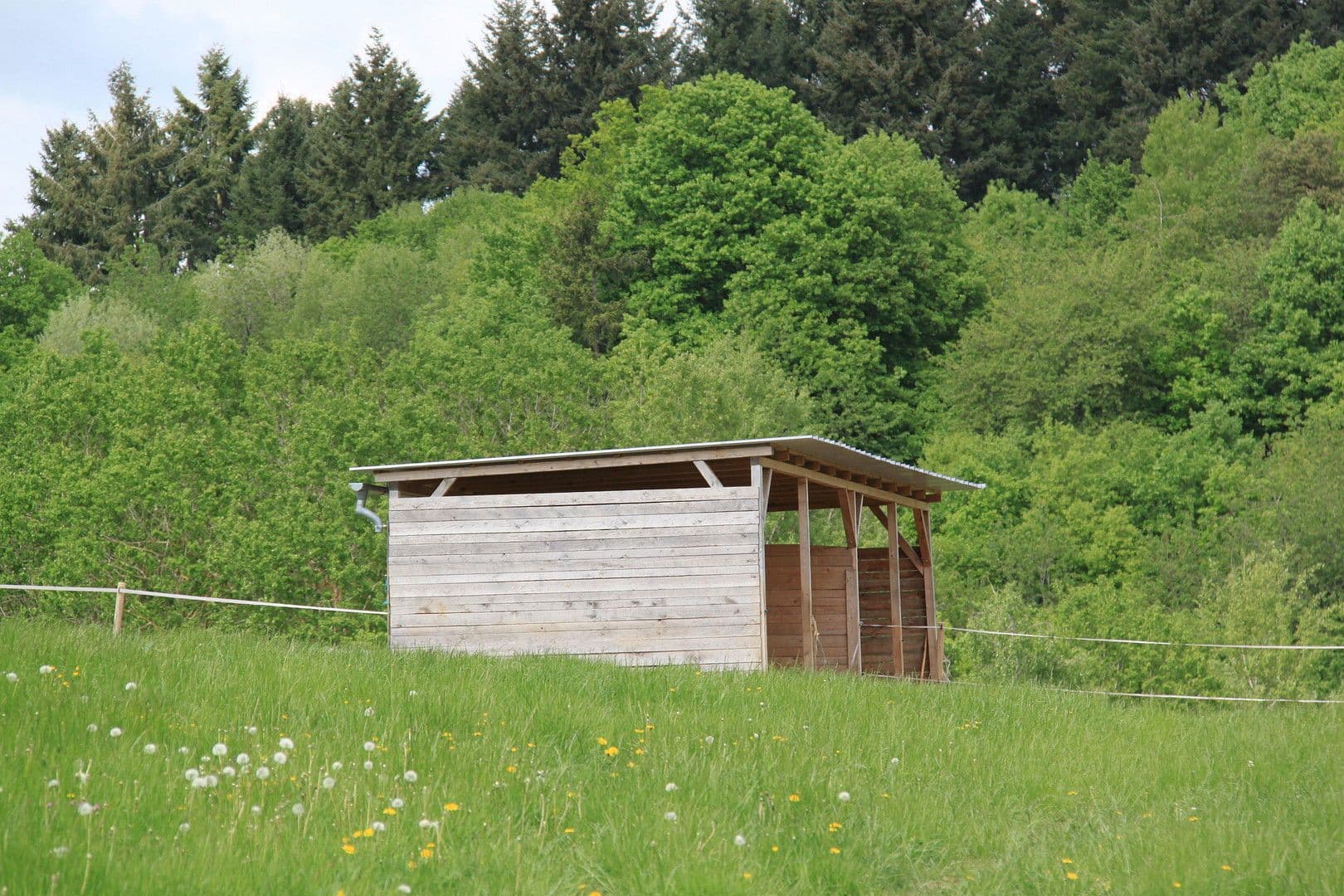 Prodej domu 250 m², pozemek 45.000 m², Brauweiler, Porýní-Falc Prodej domu 250 m², pozemek 45.000 m², Brauweiler, Porýní-Falc