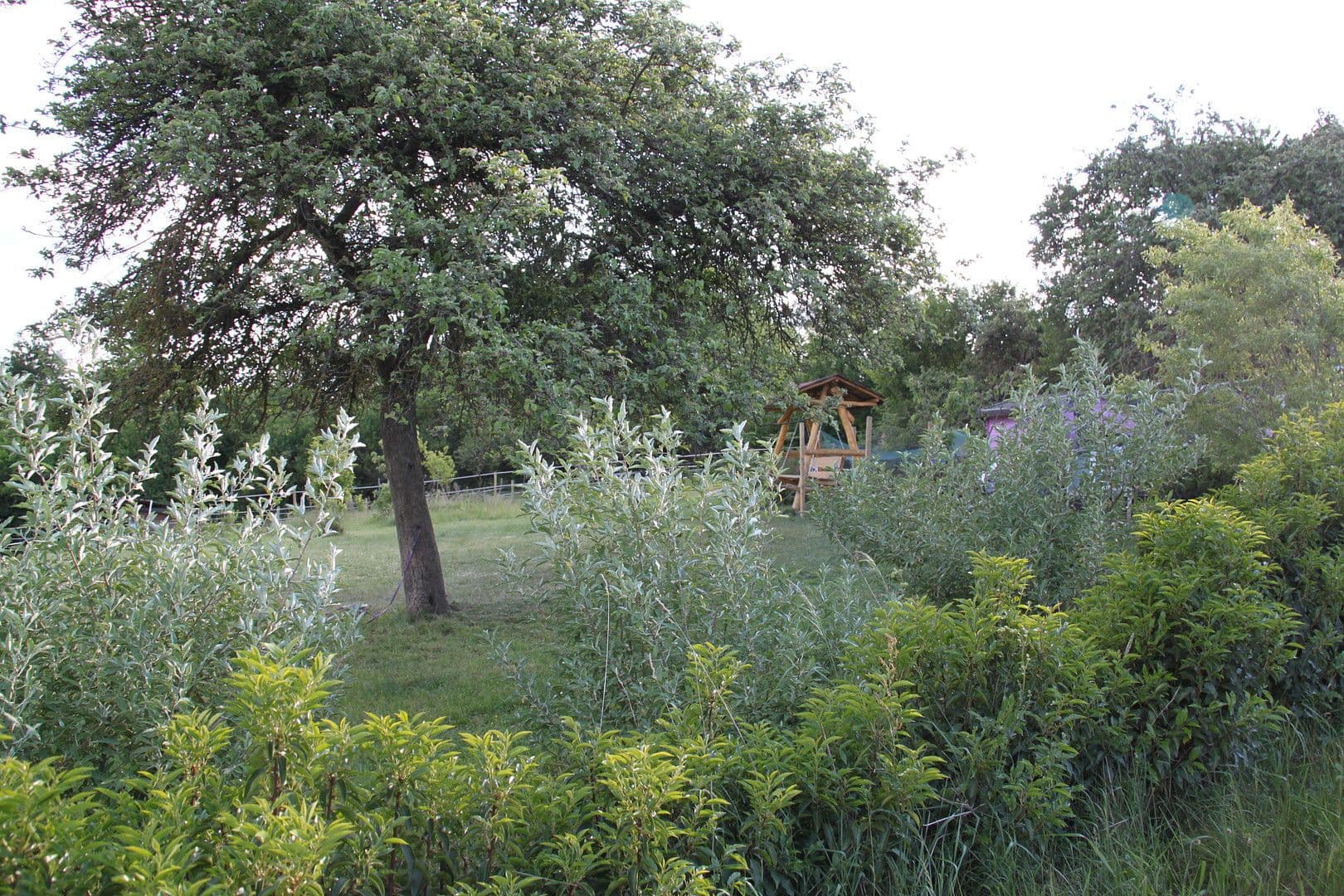 Prodej domu 250 m², pozemek 45.000 m², Brauweiler, Porýní-Falc Prodej domu 250 m², pozemek 45.000 m², Brauweiler, Porýní-Falc