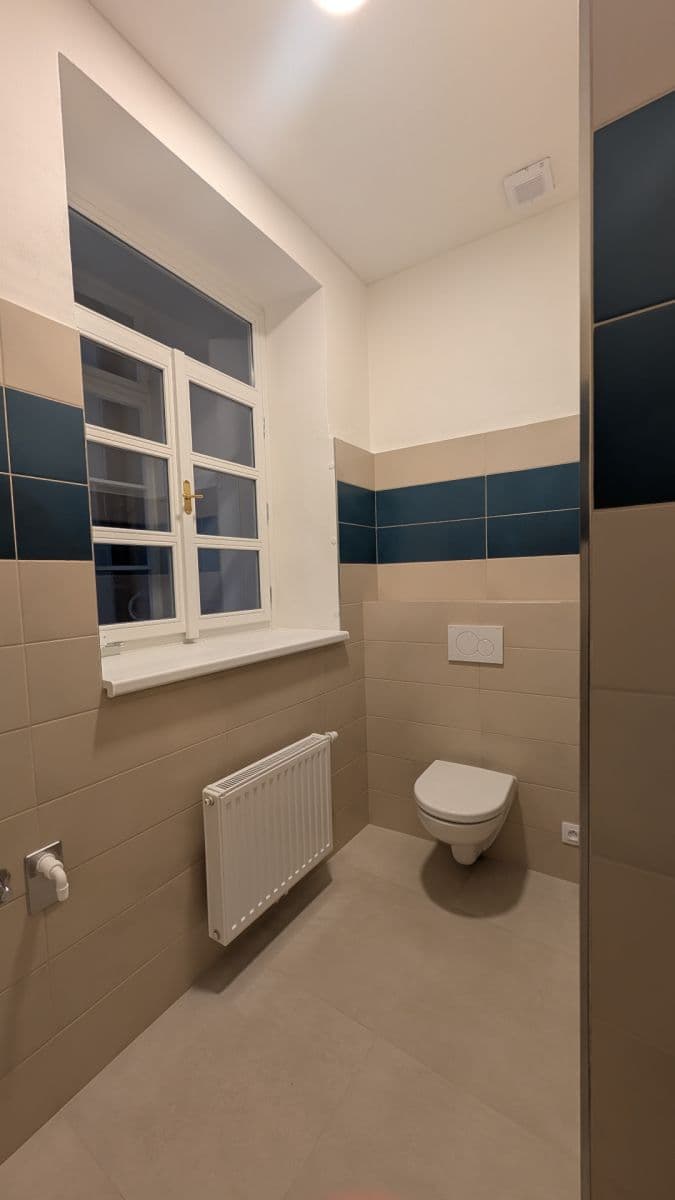 Pronájem bytu 1+1 68 m², Vodičkova, Praha, Praha Pronájem bytu 1+1 68 m², Vodičkova, Praha, Praha