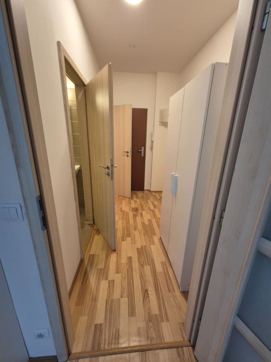 Pronájem bytu 1+kk 33 m², Freyova, Praha, Praha Pronájem bytu 1+kk 33 m², Freyova, Praha, Praha