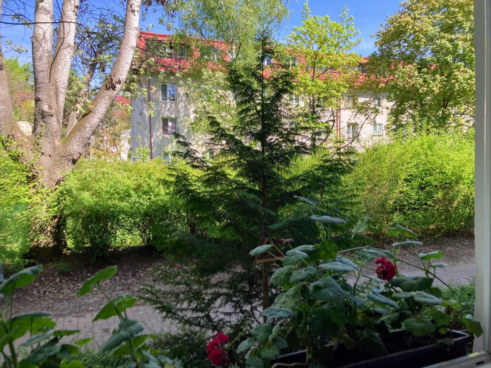 Pronájem bytu 3+1 63 m², Vršní, Praha, Praha Pronájem bytu 3+1 63 m², Vršní, Praha, Praha