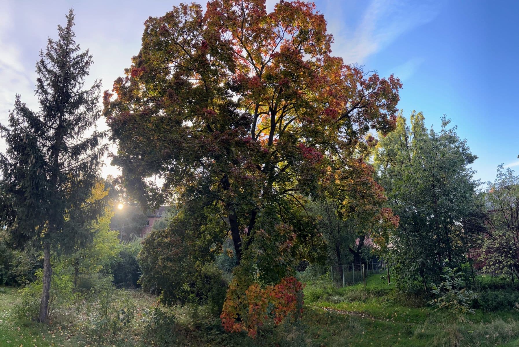 Pronájem bytu 3+1 63 m², Vršní, Praha, Praha Pronájem bytu 3+1 63 m², Vršní, Praha, Praha
