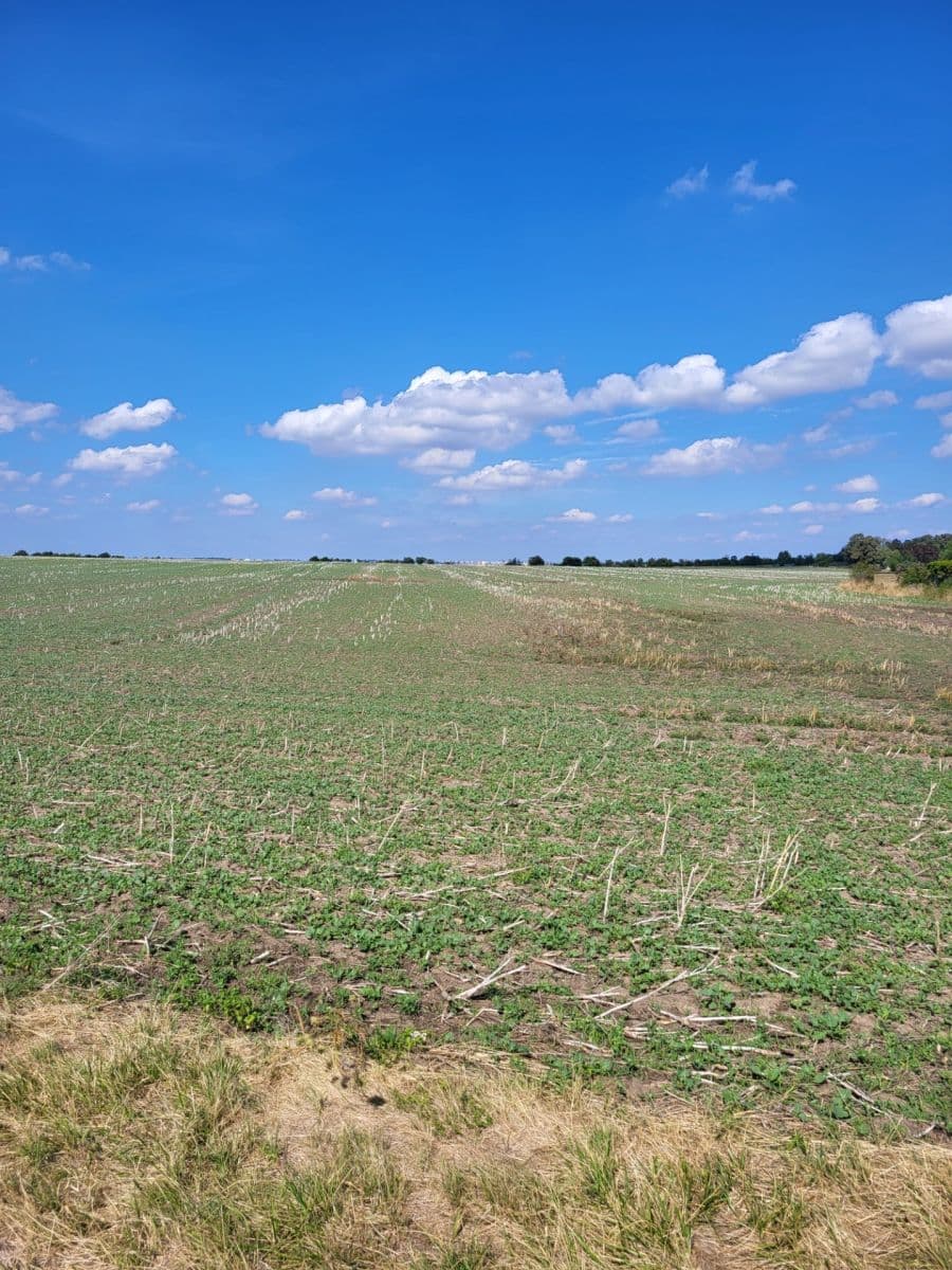 Prodej pozemku 3.488 m², K Dubečku, Praha, Praha Prodej pozemku 3.488 m², K Dubečku, Praha, Praha