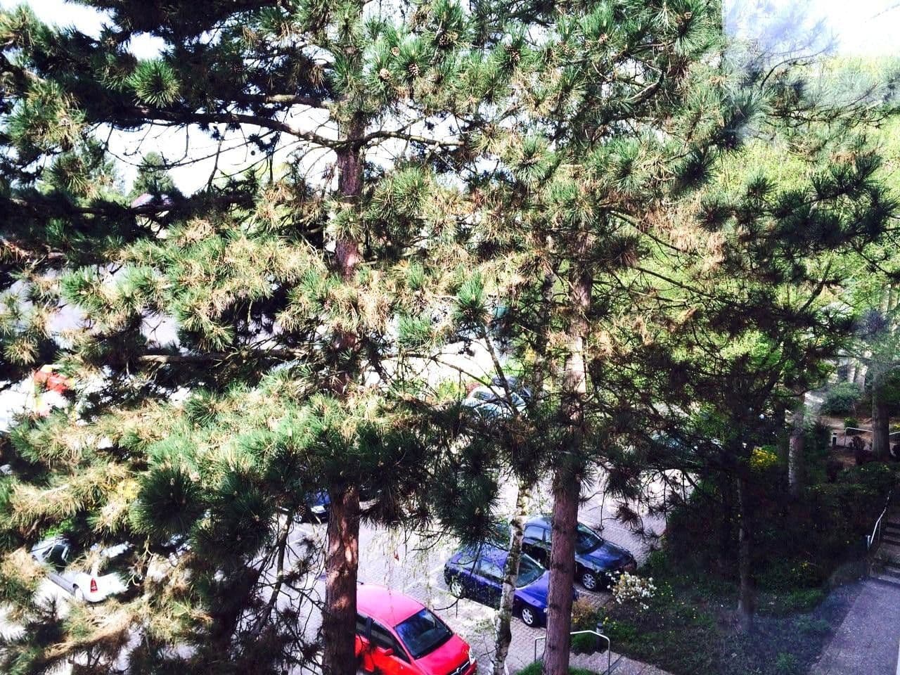 Prodej bytu 4+1 94 m², Frank-Wedekind-Straße 00, Wiesbaden, Hessen Prodej bytu 4+1 94 m², Frank-Wedekind-Straße 00, Wiesbaden, Hessen