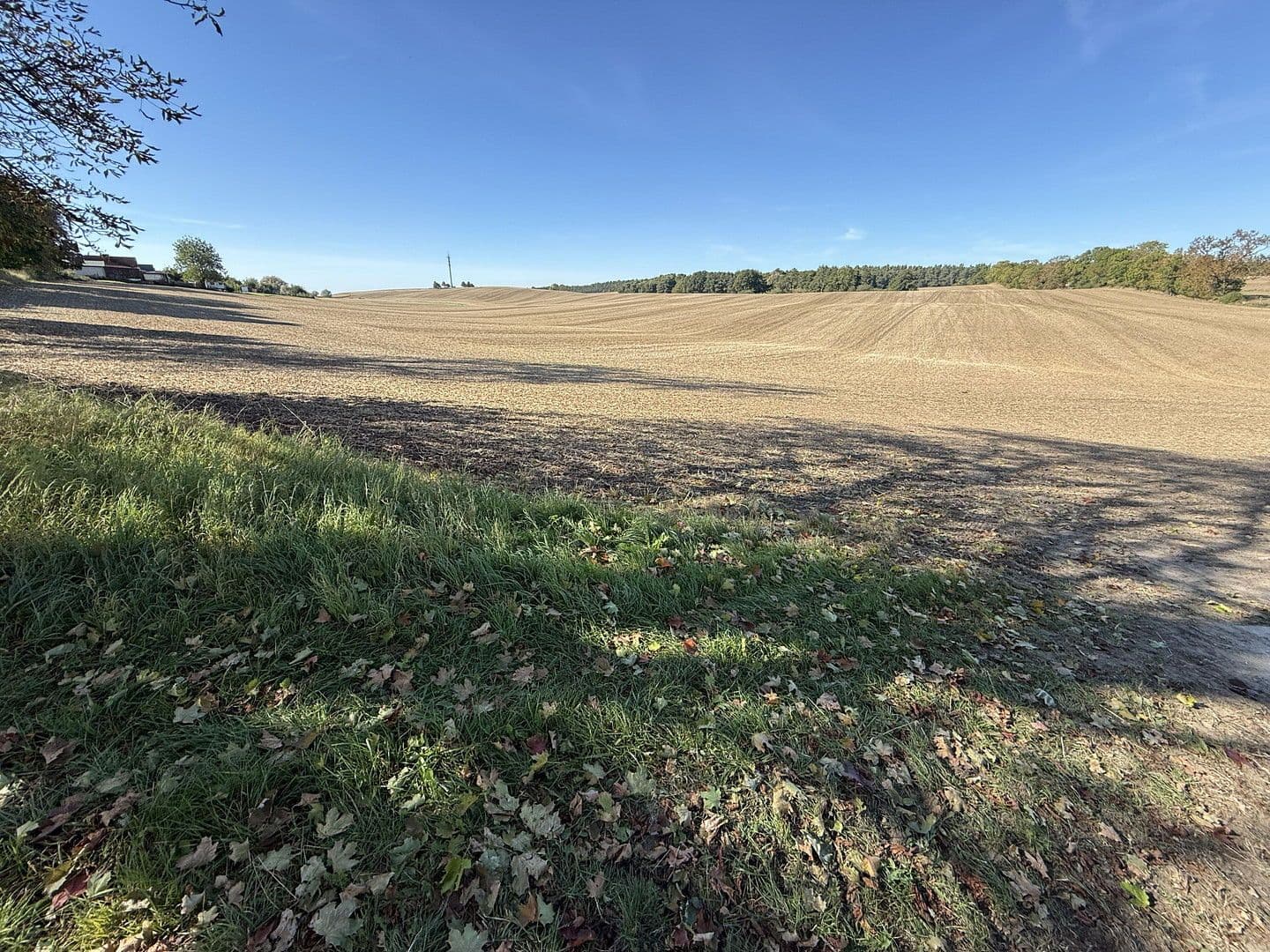 Prodej domu 105 m², pozemek 1.531 m², Malchin, Mecklenburg-Vorpommern Prodej domu 105 m², pozemek 1.531 m², Malchin, Mecklenburg-Vorpommern