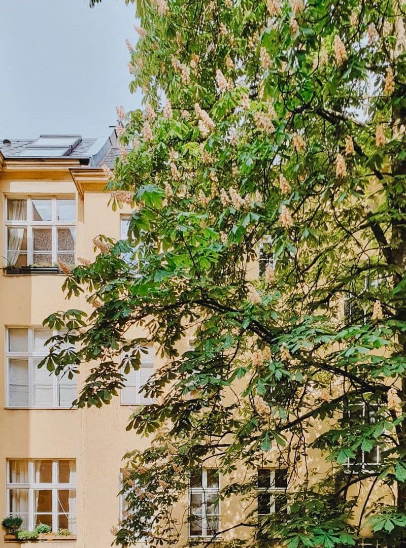 Prodej bytu 2+1 70 m², Erdmannstraße, Berlin, Berlín Prodej bytu 2+1 70 m², Erdmannstraße, Berlin, Berlín