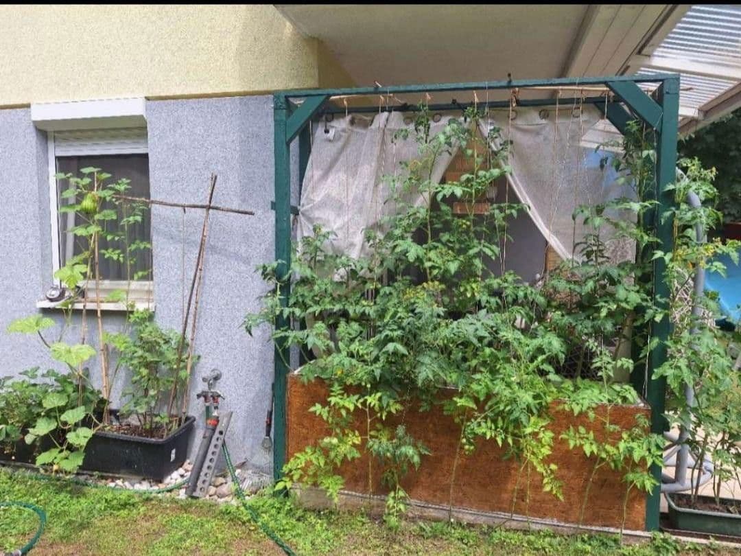 Pronájem bytu 3+1 78 m², Helenenstrasse, Baden bei Wien, Dolní Rakousko Pronájem bytu 3+1 78 m², Helenenstrasse, Baden bei Wien, Dolní Rakousko