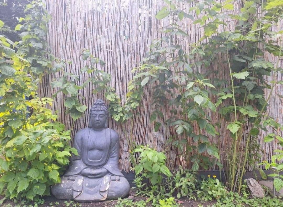 Pronájem bytu 3+1 78 m², Helenenstrasse, Baden bei Wien, Dolní Rakousko Pronájem bytu 3+1 78 m², Helenenstrasse, Baden bei Wien, Dolní Rakousko