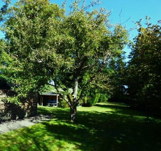 Prodej domu 158 m², pozemek 1.350 m², Rechtsupweg, Dolní Sasko Prodej domu 158 m², pozemek 1.350 m², Rechtsupweg, Dolní Sasko