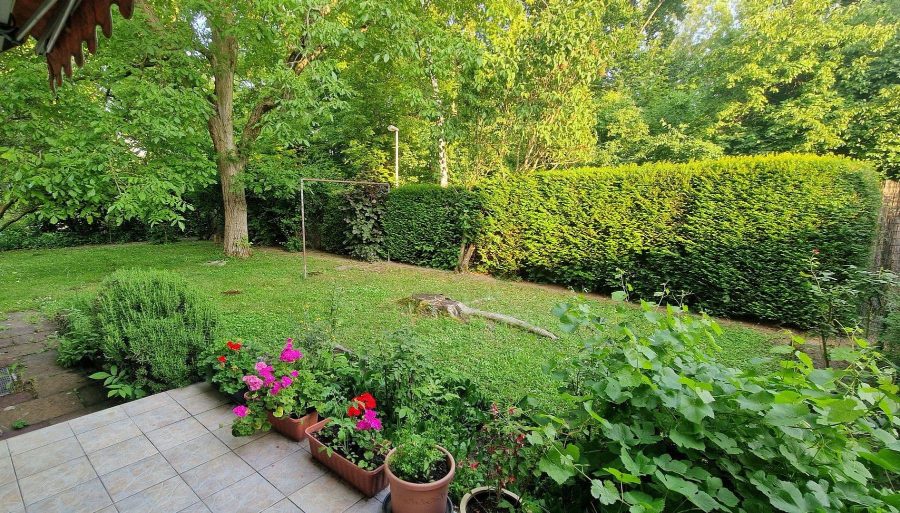 Prodej domu 180 m², pozemek 695 m², Mainz, Porýní-Falc Prodej domu 180 m², pozemek 695 m², Mainz, Porýní-Falc