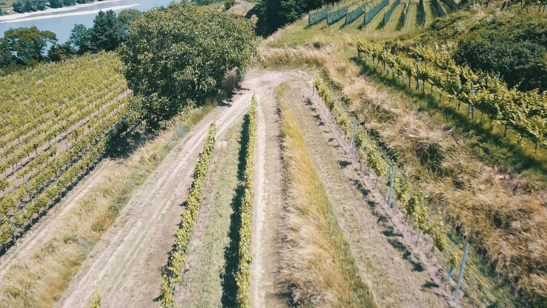 Prodej pozemku 3.596 m², Mitterarnsdorf, Dolní Rakousko Prodej pozemku 3.596 m², Mitterarnsdorf, Dolní Rakousko