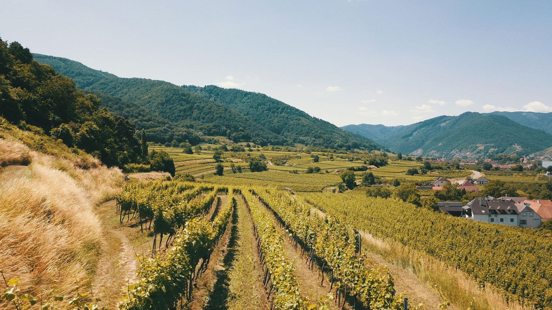 Prodej pozemku 3.596 m², Mitterarnsdorf, Dolní Rakousko Prodej pozemku 3.596 m², Mitterarnsdorf, Dolní Rakousko