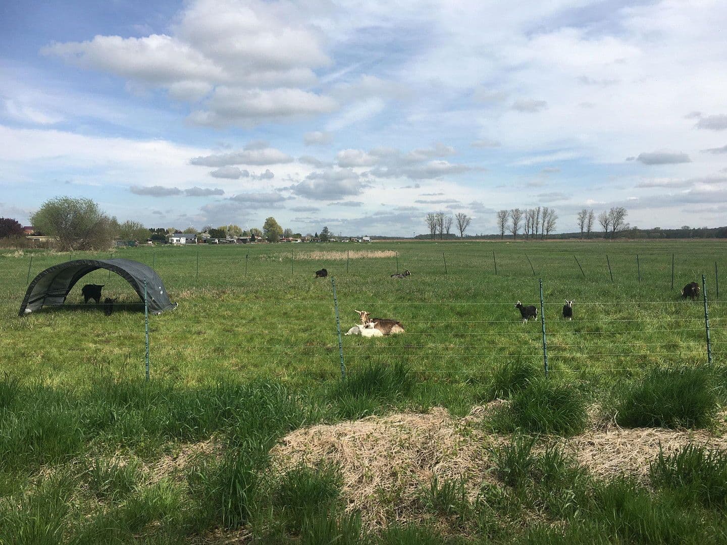 Prodej domu 489 m², pozemek 8.135 m², Bützow, Mecklenburg-Vorpommern Prodej domu 489 m², pozemek 8.135 m², Bützow, Mecklenburg-Vorpommern